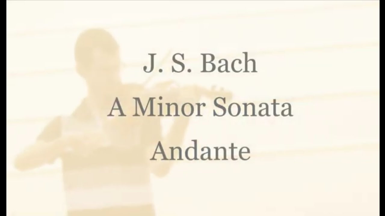 J. S. Bach 'Sei Solo' Violin Sonata in A Minor - Andante