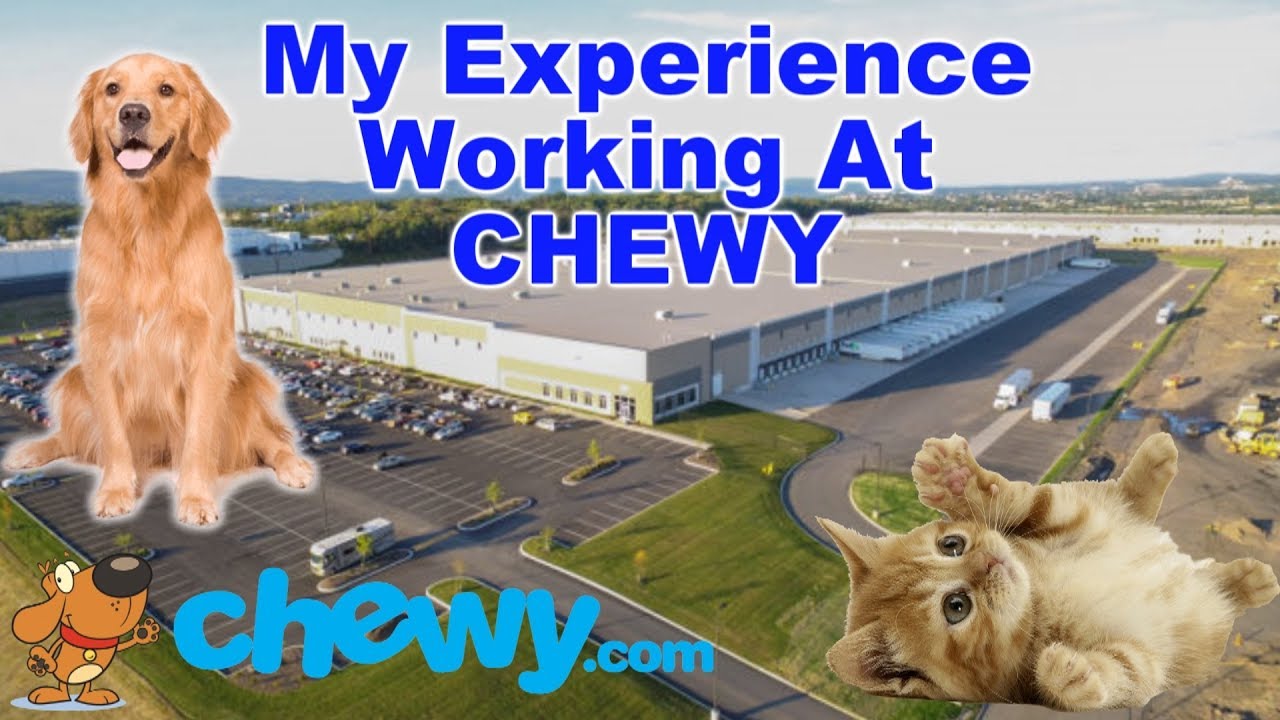 My Experience Working at CHEWY! Chewy Warehouse Job Review - How is it Working at Chewy?