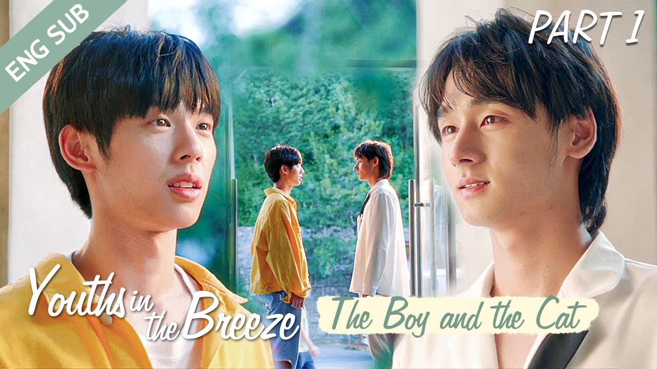 [ENG SUB] Youths in the Breeze Part 1 [EP01 - EP04] The Boy and the Cat