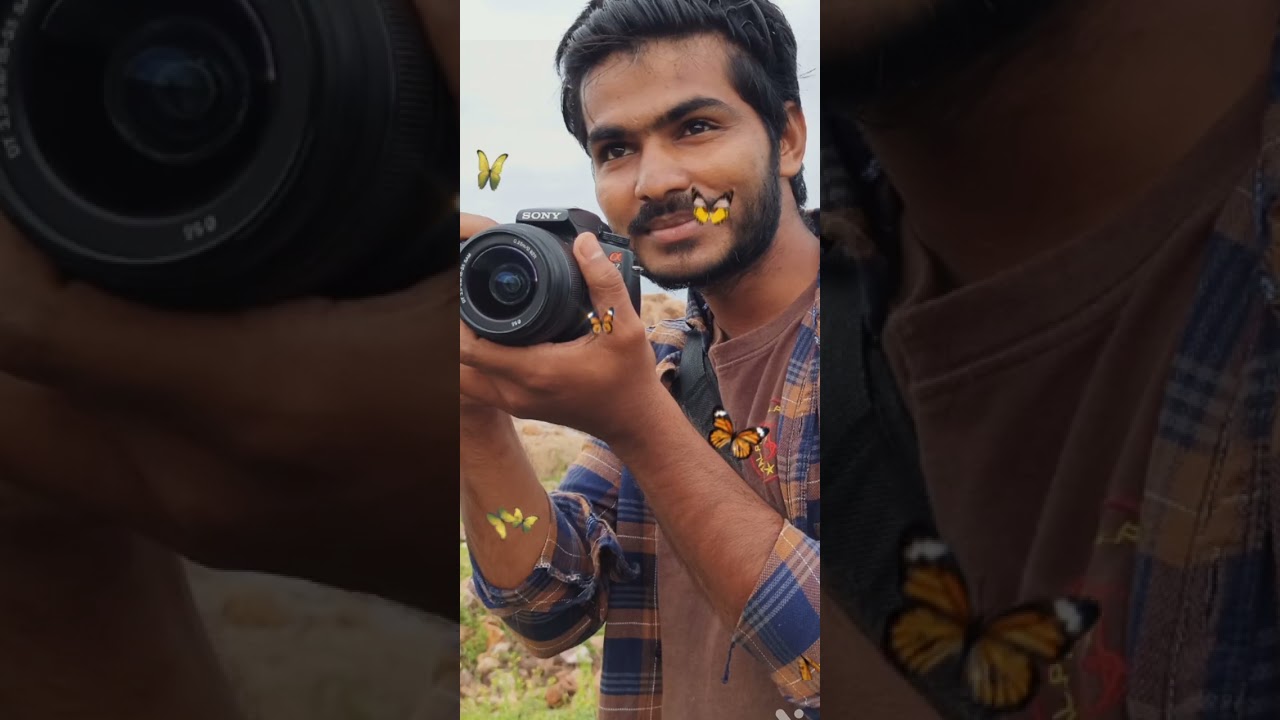 bgm fevarate