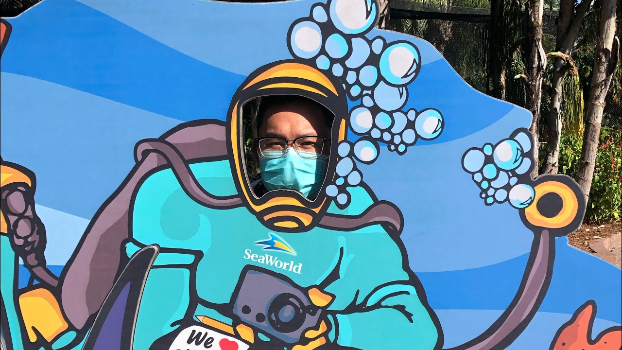My trip from Seaworld, Orlando 