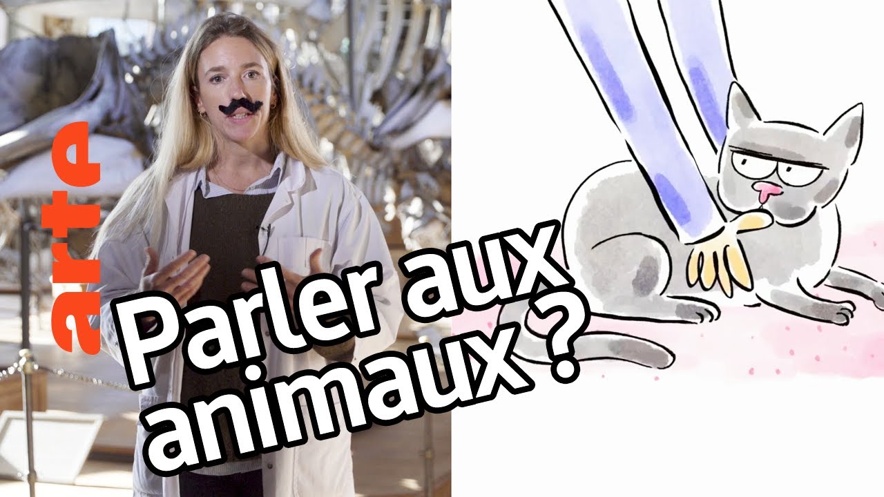 Peut-on parler avec les animaux ? | Sarah Jeannin | Tu mourras moins bête | ARTE