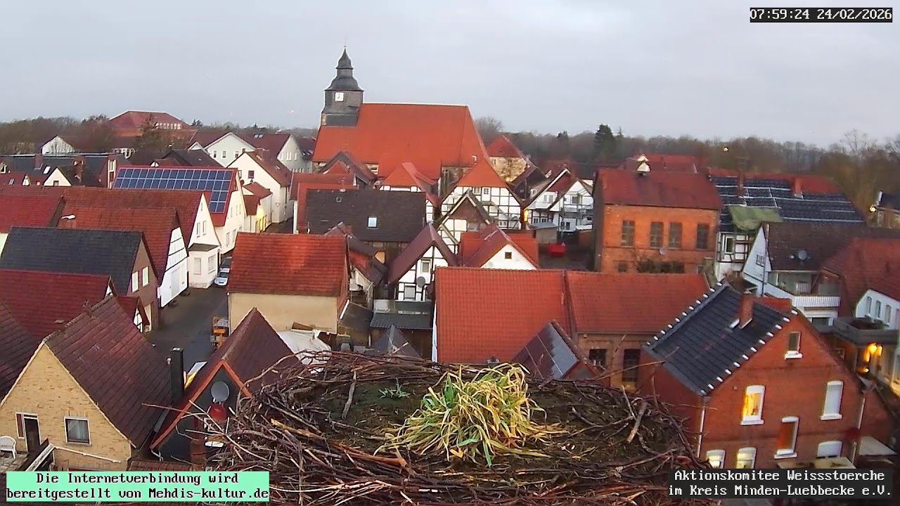 Livestream von Storchennest Petershagen