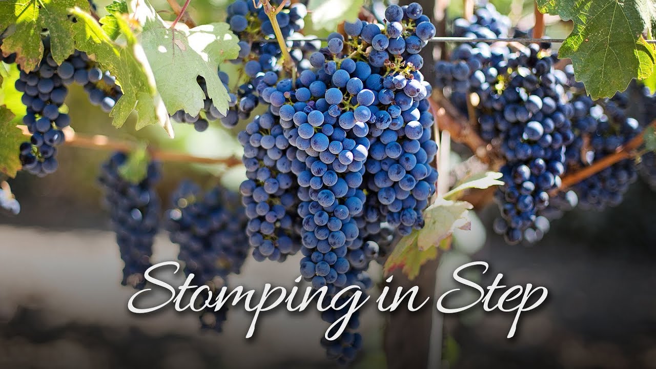 Stompin' Good Time