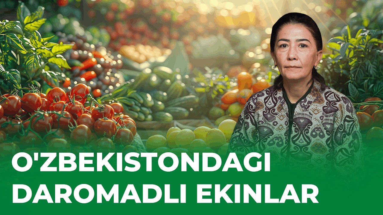 FERMERLAR KICHIK TOMORQADAN DAROMAD QILISH USULLARI #fermerlar #tomorqachilik #yerdanfoyda