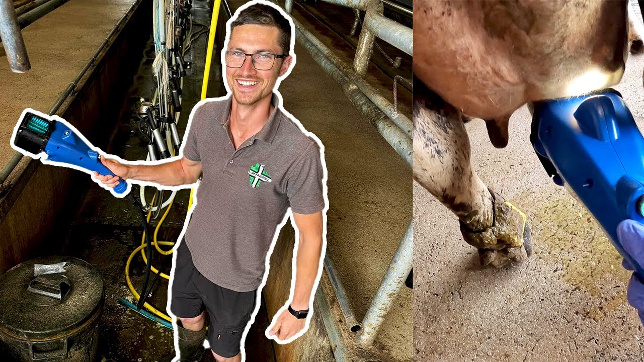 Parlour Upgrade! | Teat Brush Installed!