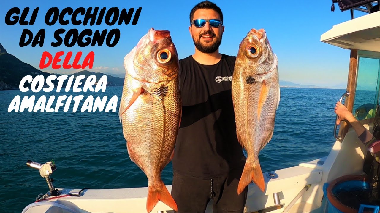 Palamito e Bolentino di profondità : Pezzogne - Squali - Merluzzi  e Gronghi giganti !!!