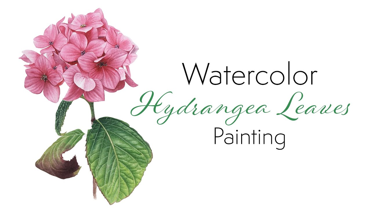 How to paint watercolor Hydrangea leaves 🌺 painting tutorial 🍀 mixing your own greens