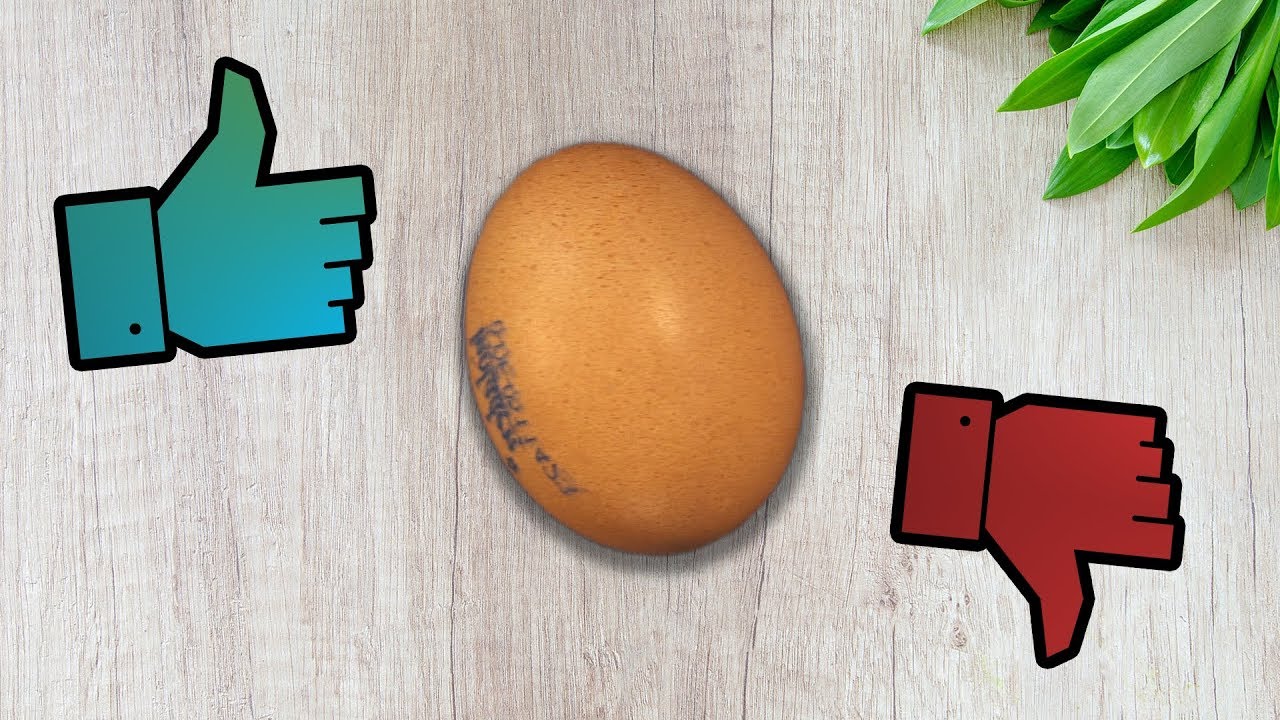 Gutes oder schlechtes Ei?/  Prof. Ingo Froböse: