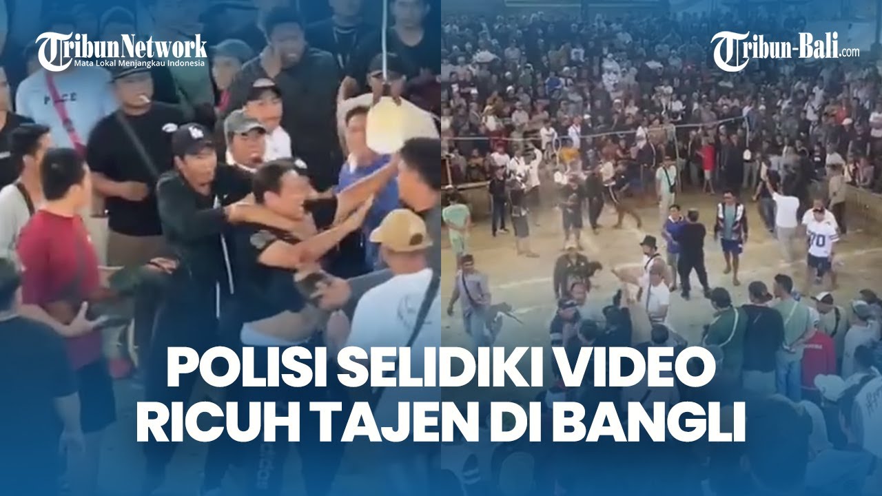 Keributan di Arena Tajen Bangli Viral, Polisi Masih Selidiki Lokasi dan Pemicu Insiden