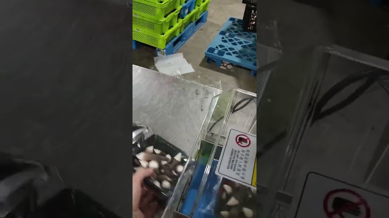Flow packer for mushrooms. #mushroompackingmachine