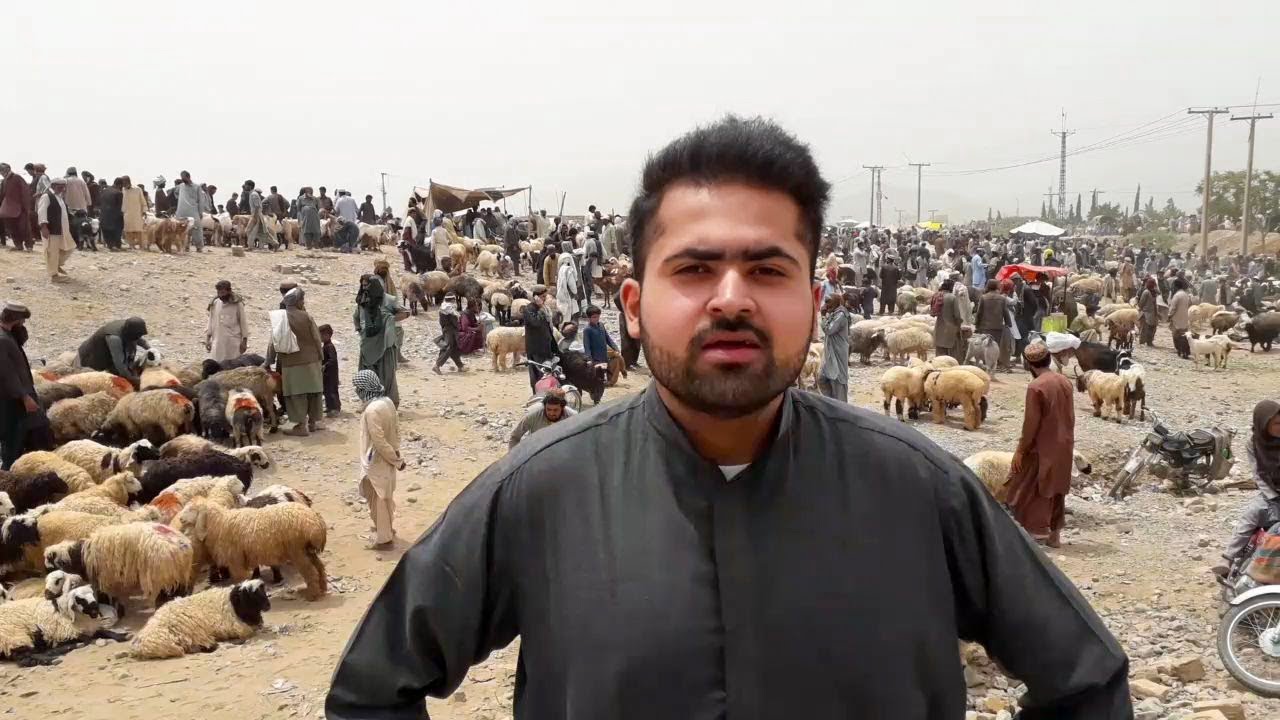 QUETTA BIGGEST BAKRA MANDI | EID DAY SPECIAL VLOG 2019 | Baluchistan Pakistan |