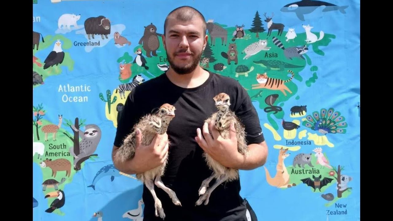 Radioemisija „Svjetlo riječi” – Zoo „Bambi“: mjesto po mjeri životinja