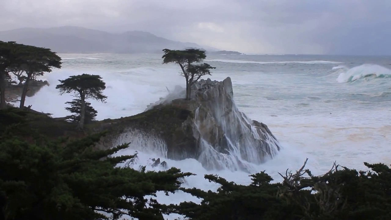 Pebble Beach; Lone Cypress Takes Direct Hits