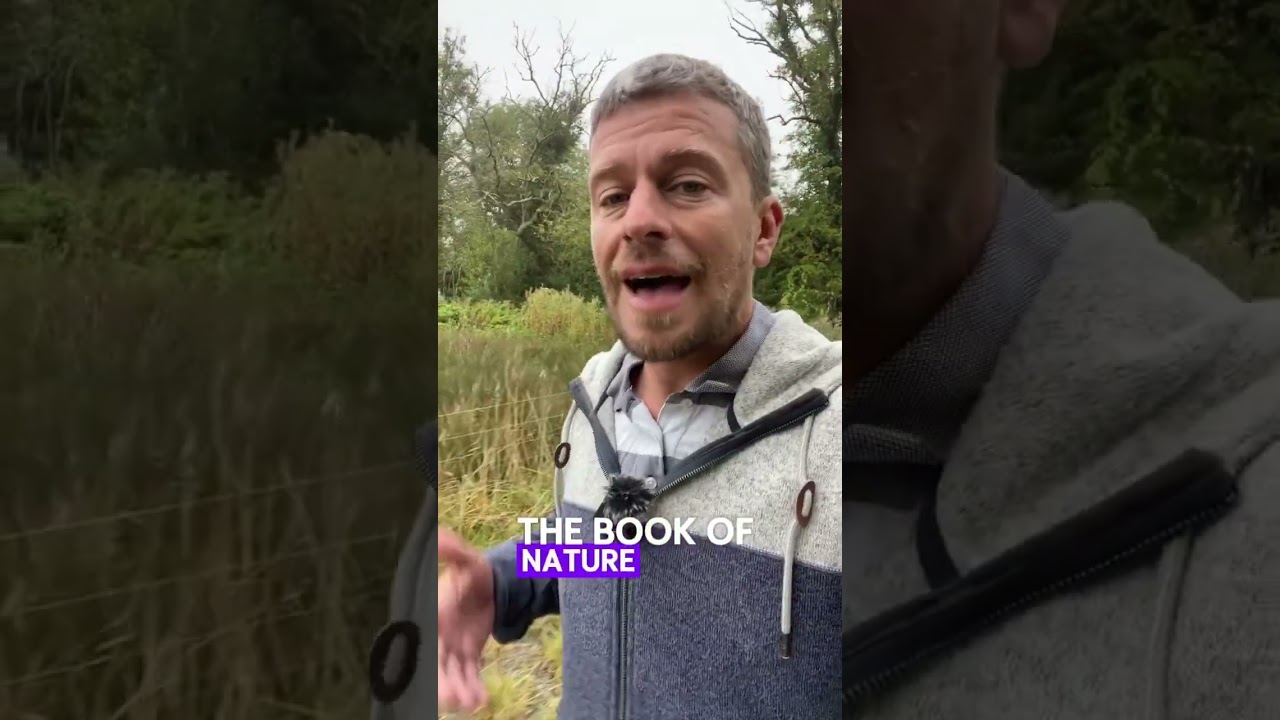 Is there a conflict between science and God? 