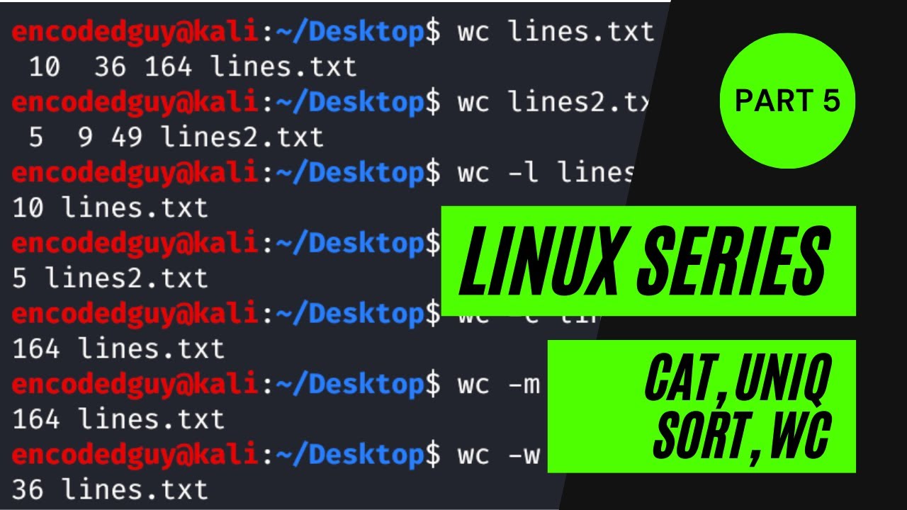 Linux Series Part 5 - cat, uniq, sort, wc commands explanation | rashahacks