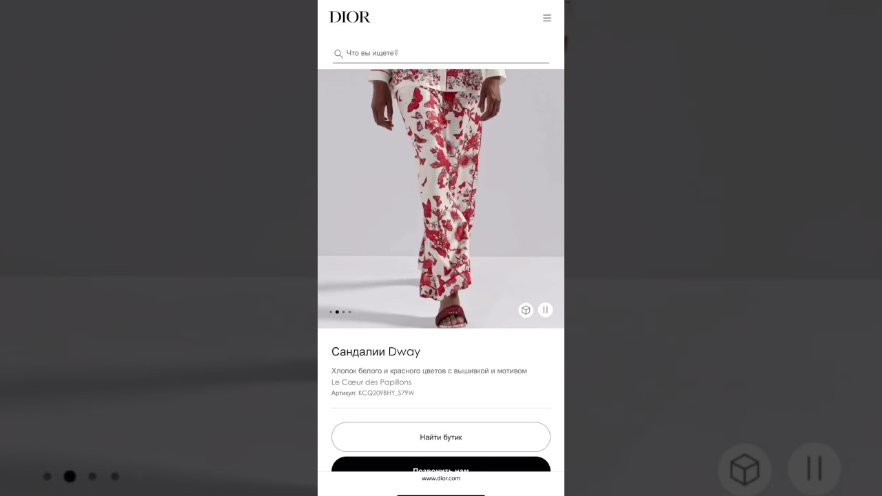 DIOR Dway