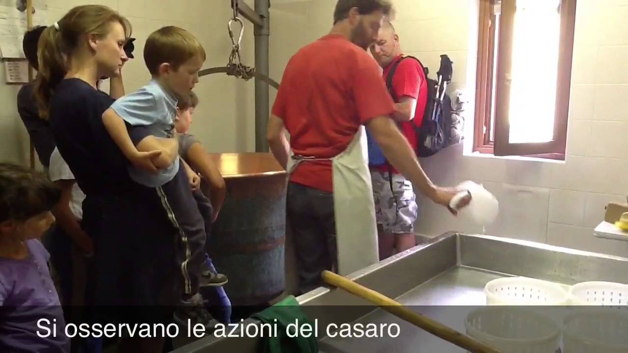 Albe in malga: dalla mungitura al formaggio