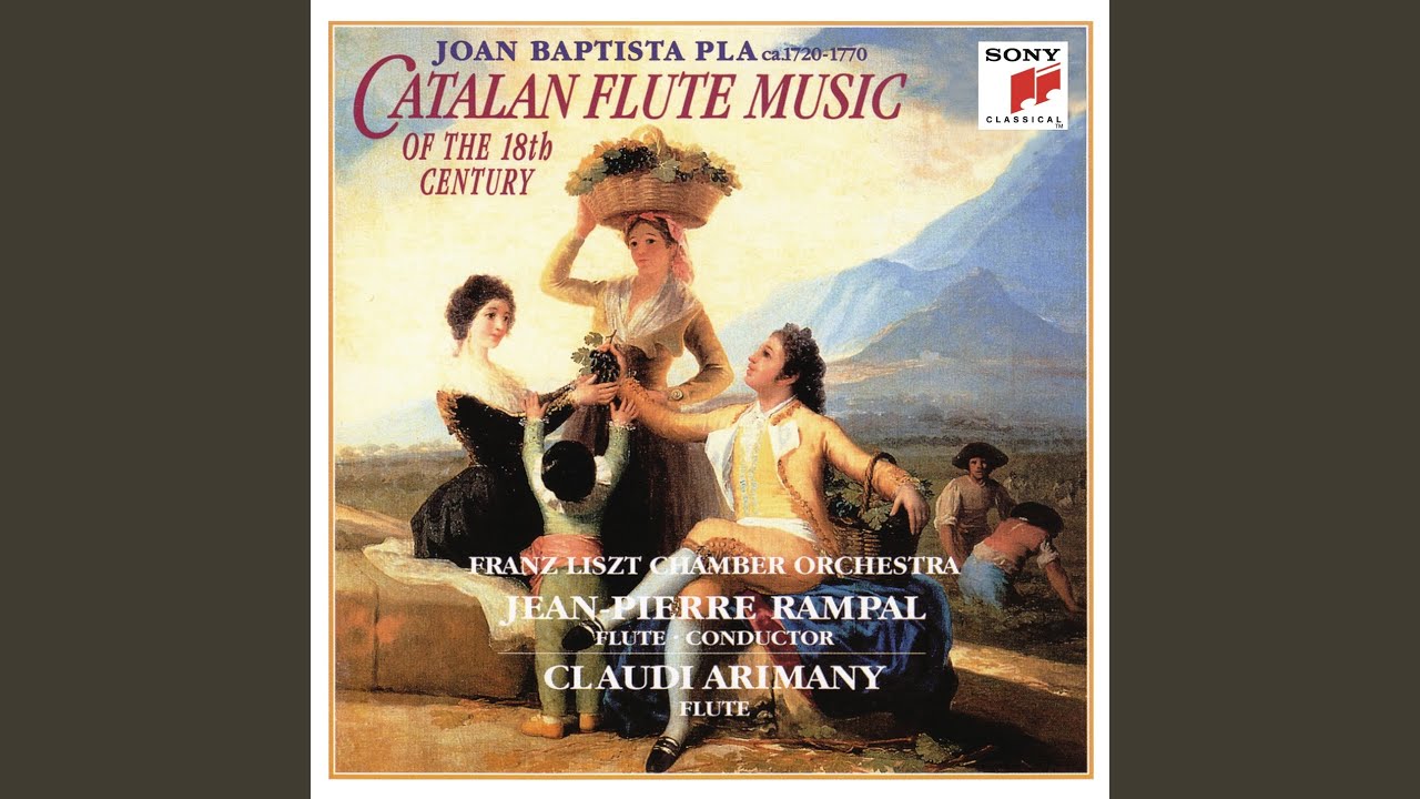 Concerto for Flute and String Orchestra in G major (V/4) : I. Allegro spiritoso