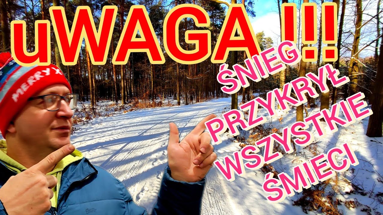 Zimowy las czy będą śmieci ?