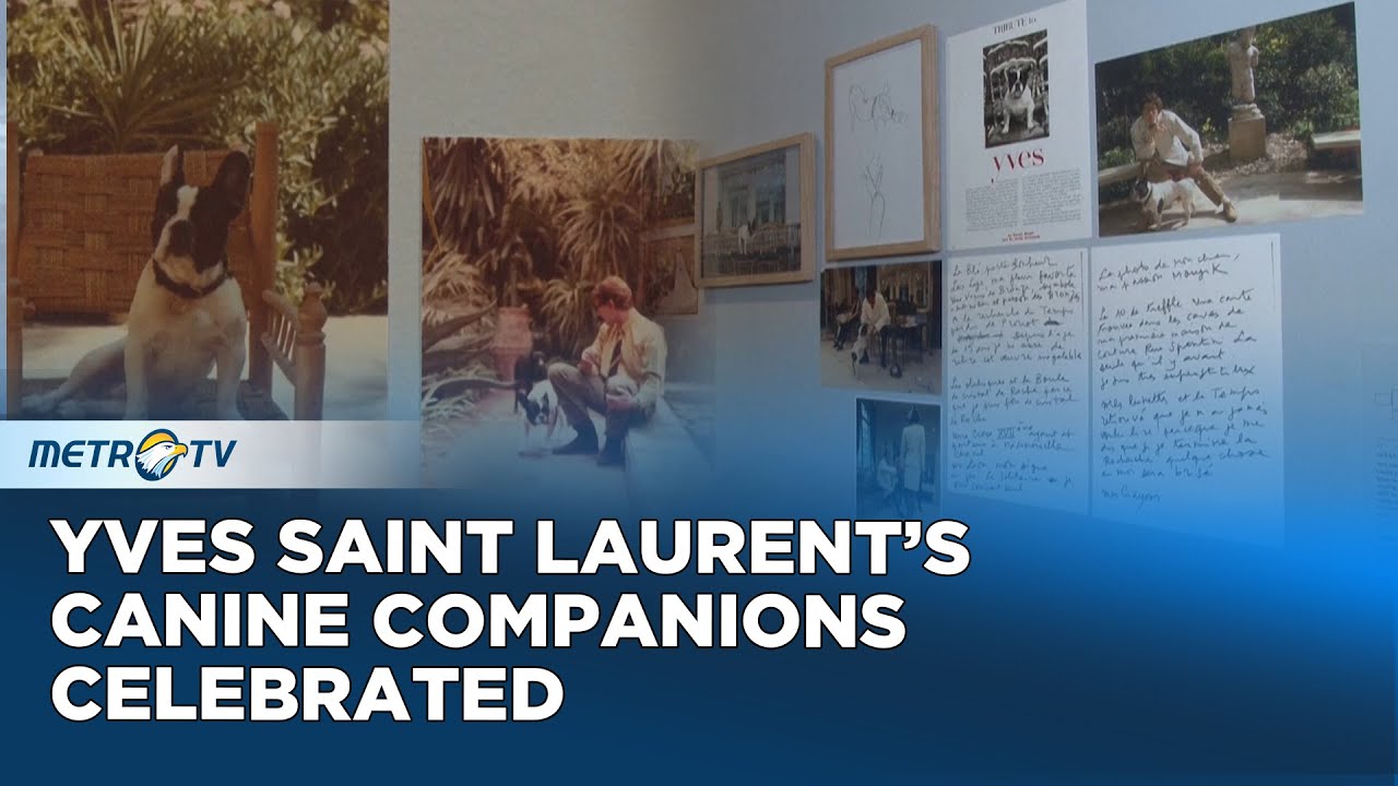 New Exhibition Celebrates Yves Saint Laurent's Dogs