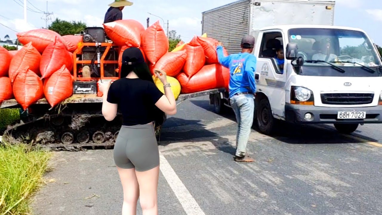 Máy kéo lúa gặp cảnh này. Tài xế chạy rung tay chân