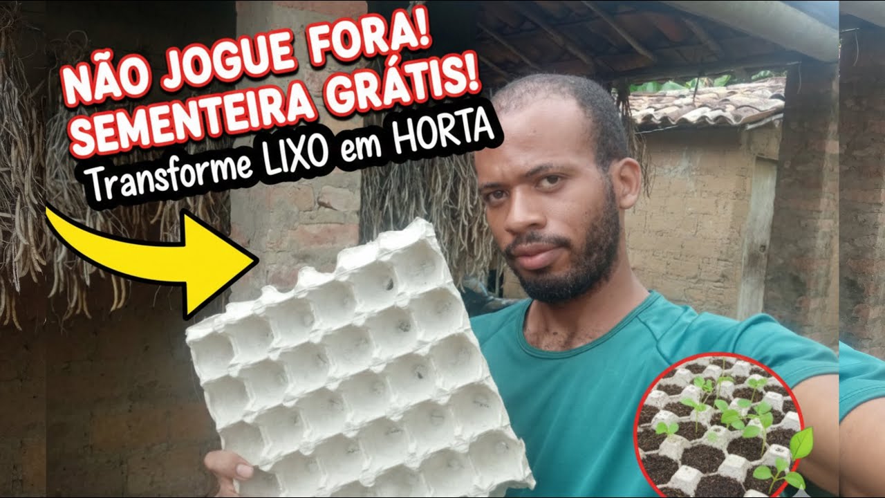 Como plantar QUIABO no PAPELÃO DE OVO (Sementeira Caseira Sustentável)