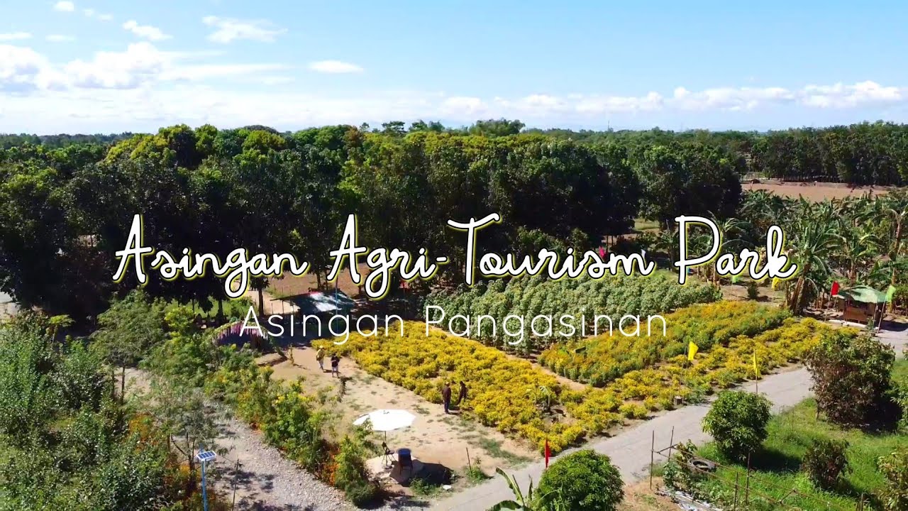 Asingan Agri-Tourism Park 🌻🌼🌷⚘🪴🌿🌳 | Asingan, Pangasinan | DJI Mavic Mini