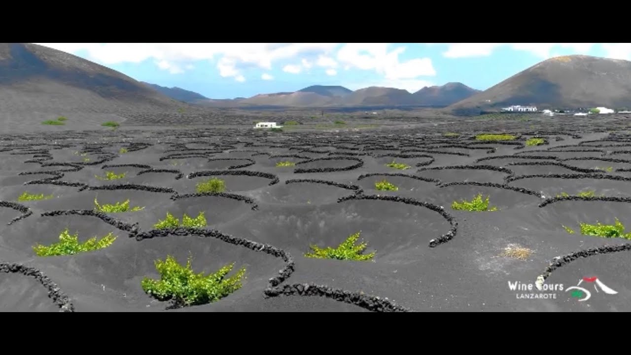 Wine Tours Lanzarote - A Cinematic Tour