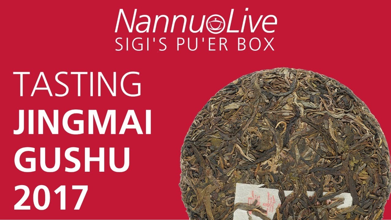 NannuoLive: Sigi's Pu'er Box - JingMai Gushu 2017