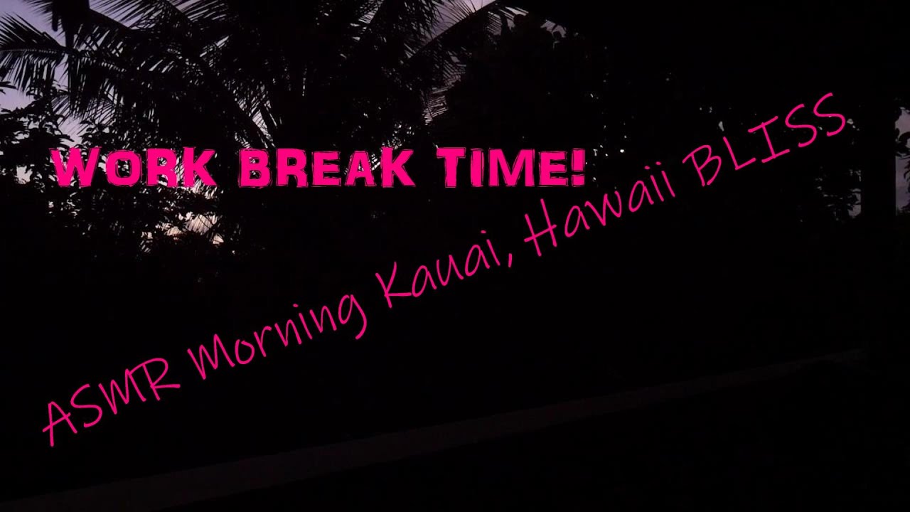 ASMR Kauai, Hawaii morning relaxation yoga country meditating sounds | Birds chirping | Cute cate