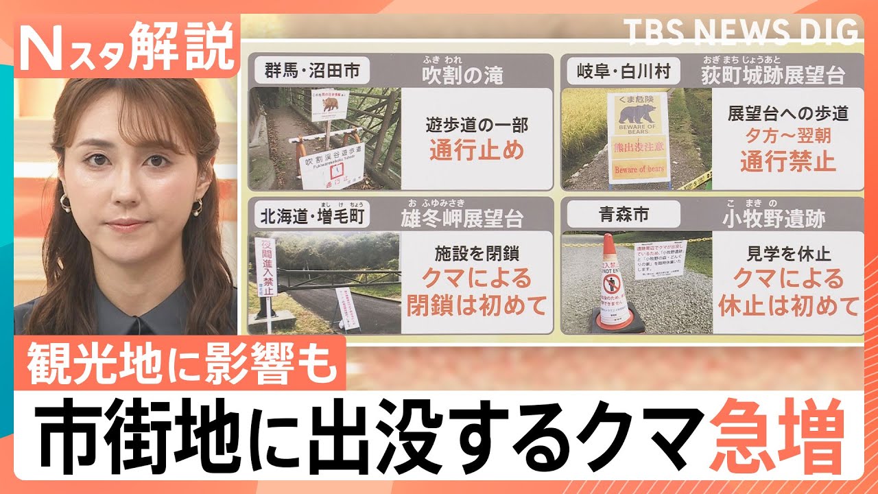 市街地に出没「常識が通用しないクマ」全国的なエサ不足も　まもなく冬眠も…十分警戒を【Nスタ解説】｜TBS NEWS DIG