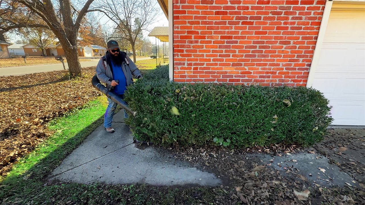 THEY CALLED ME CONFUSED — Asking Why I Cleaned Up These LEAVES for FREE (Solo Job)