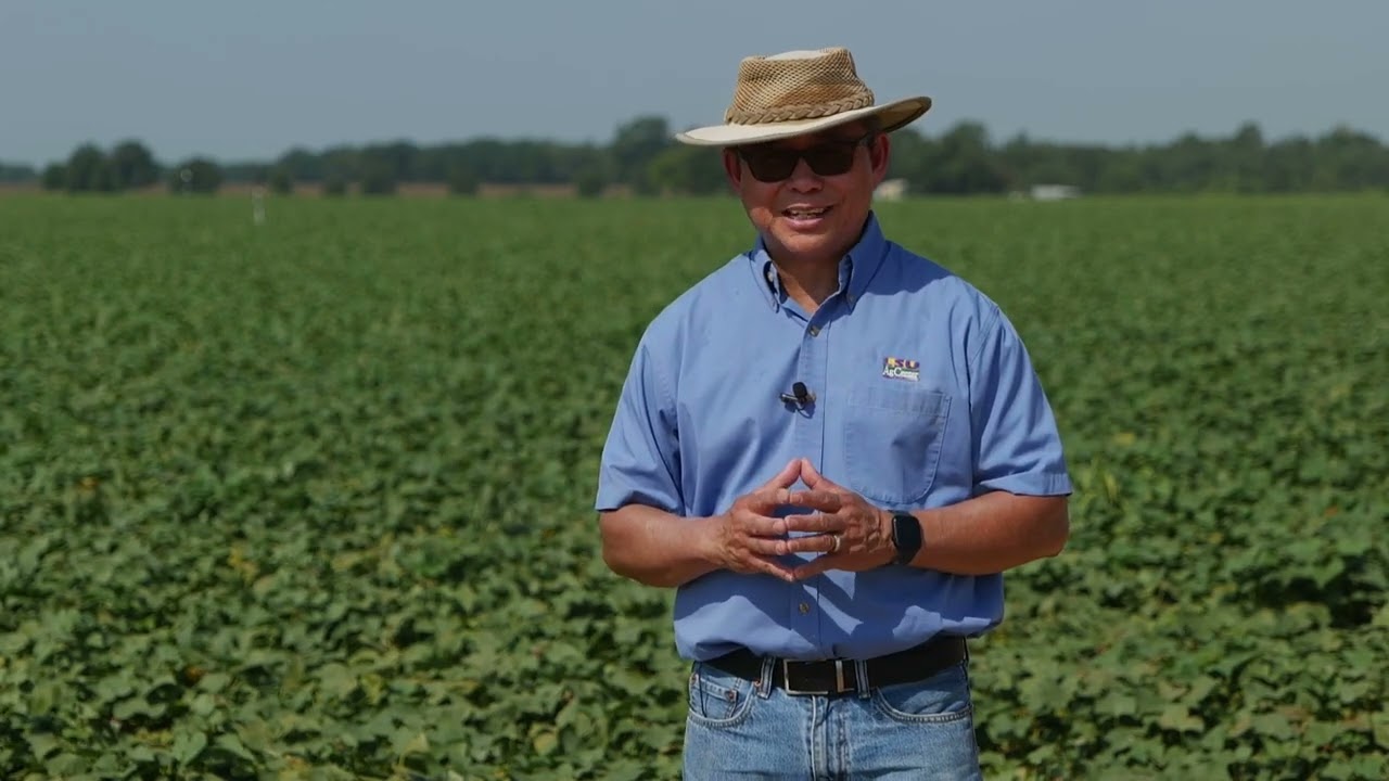 2023 Virtual Sweet Potato Field Day: Irrigation Management and Planting Density
