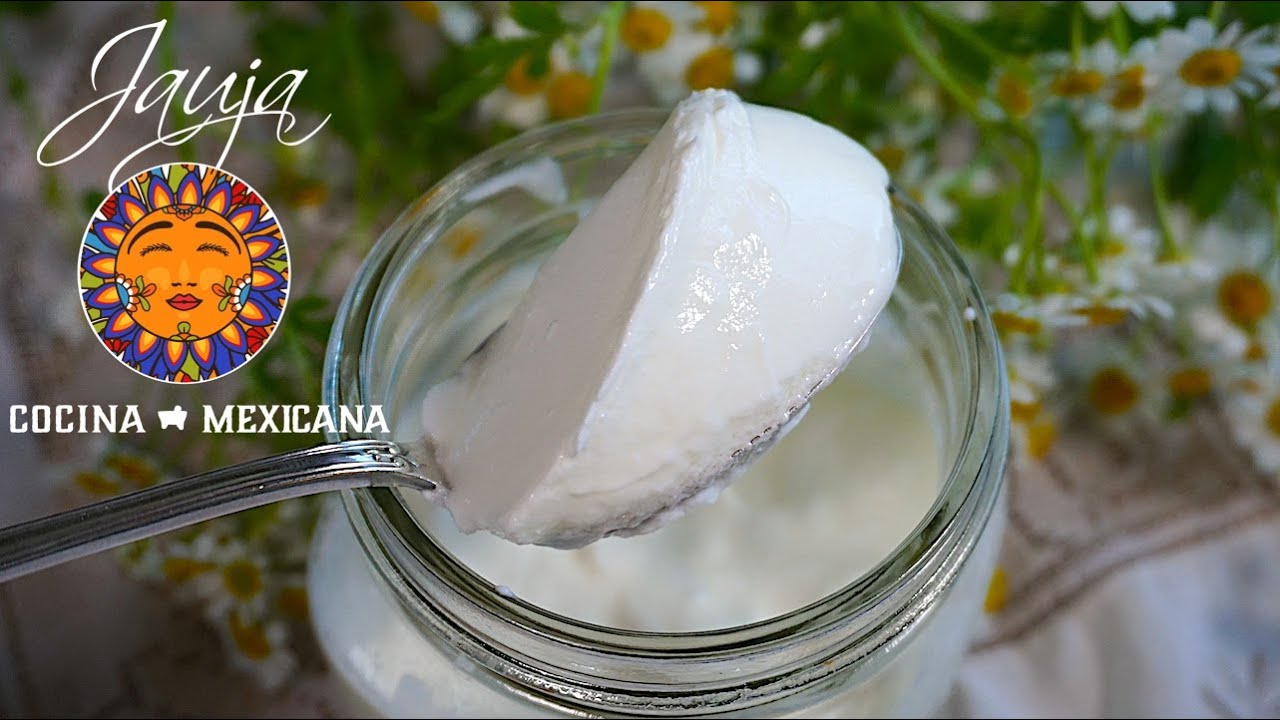 Cómo Hacer Yogurt Natural y Griego