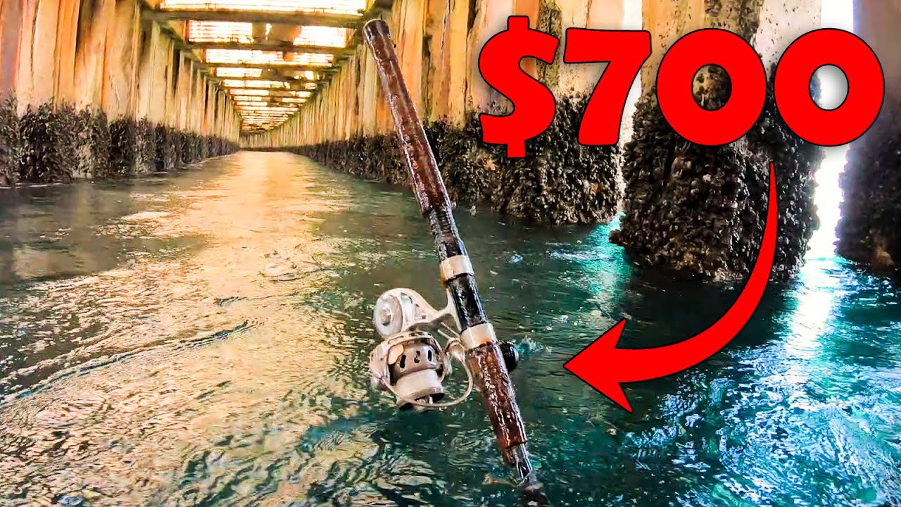 Lost Items Found! - Diving Under Popular Fishing Pier