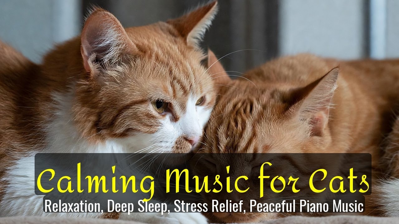 Calming Music for Cats - Relaxation, Deep Sleep, Stress Relief, Peaceful Piano Music | Season 84