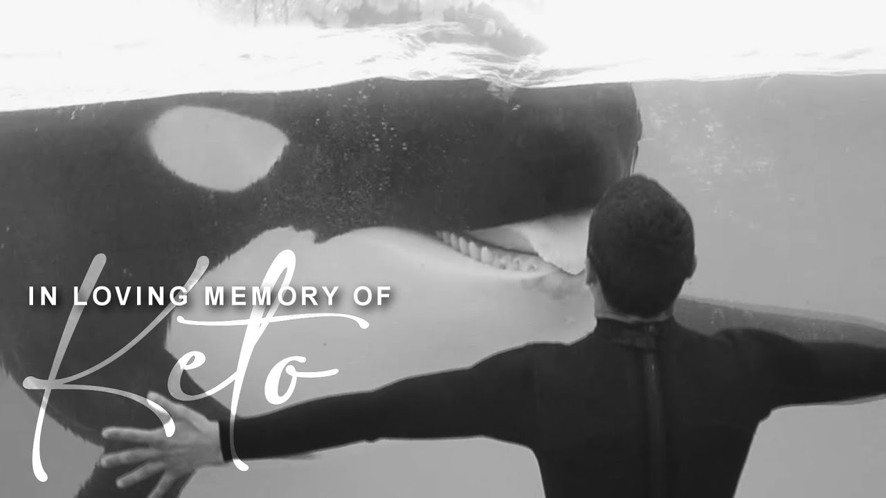 in loving memory of keto