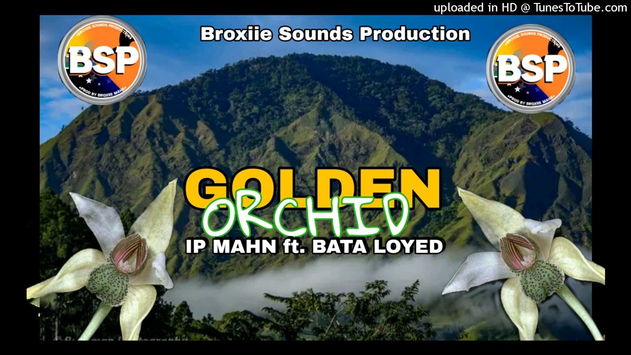 GOLDEN ORCHID (2026) - IP MAHN ft. BATA LOYED (Broxiie Sounds Prod.) #UGLEE_BEE