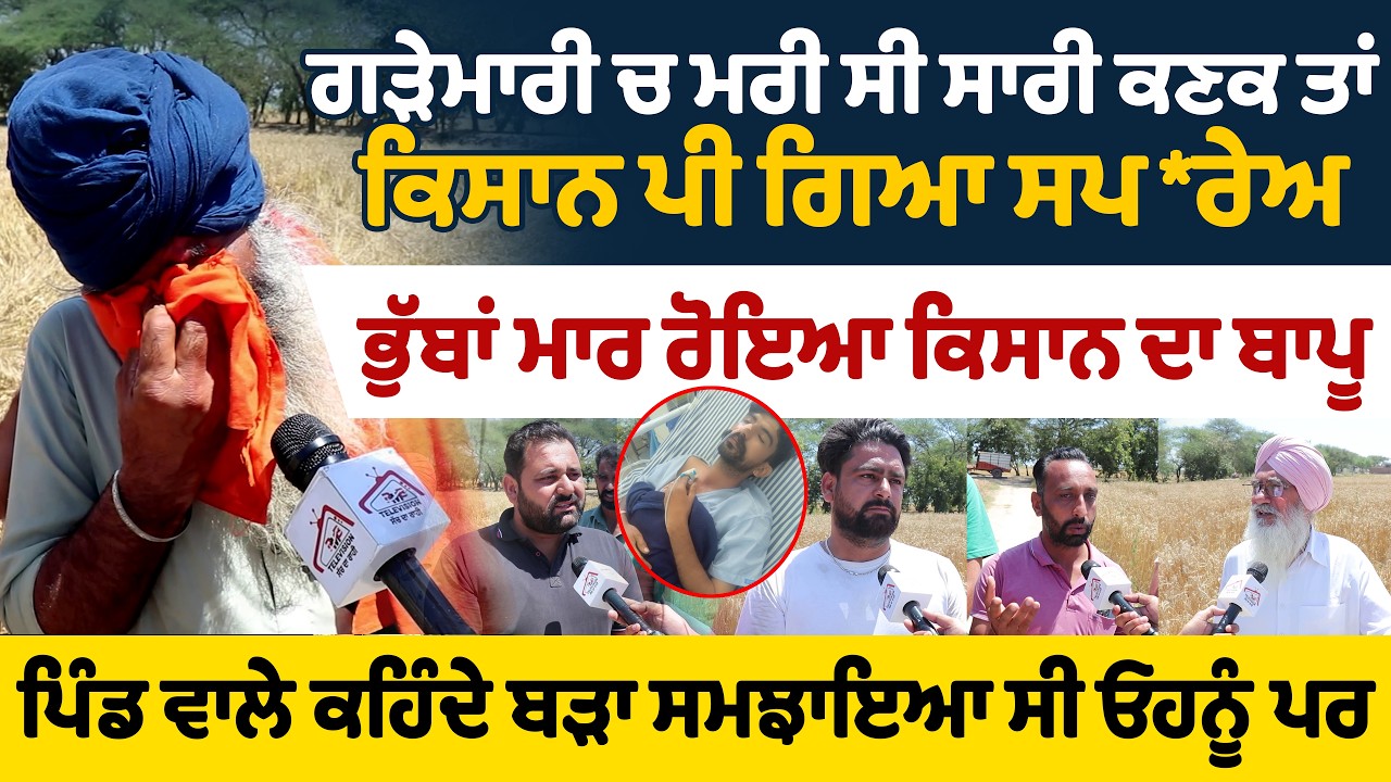 ਗੜੇਮਾਰੀ ਚ ਮਰੀ ਸੀ ਸਾਰੀ ਕਣਕਤਾਂ ਕਿਸਾਨ ਪੀ ਗਿਆ ਸਪ*ਰੇਅ | ਭੁੱਬਾਂ ਮਾ*ਰ ਰੋਇਆ ਕਿਸਾਨ ਦਾ ਬਾਪੂ