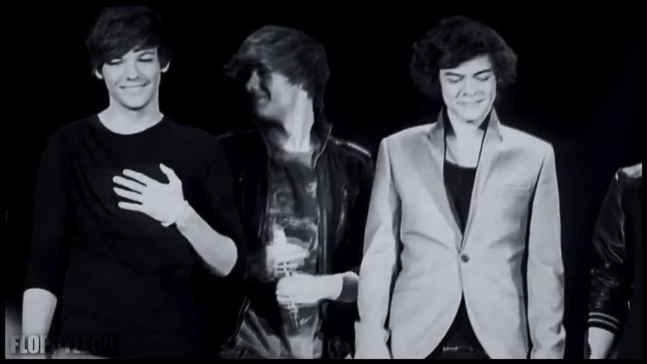 louis + harry ➜ everything