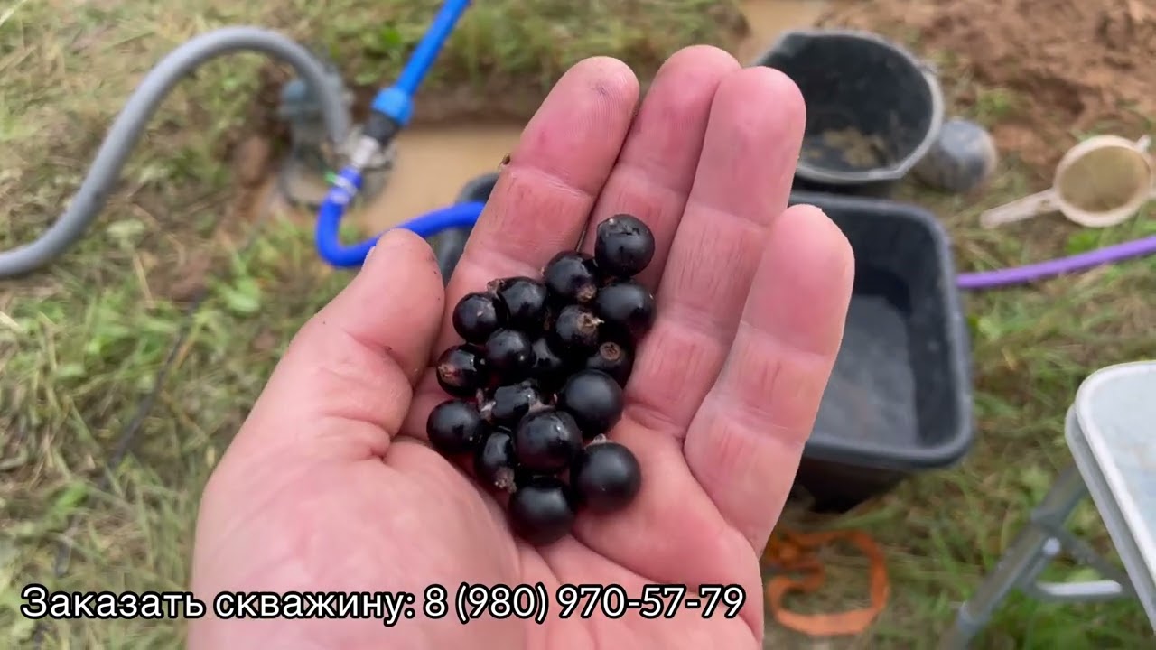 Пески, стаб, бентонит, камни - бег с препятствиями || Бурим сами абиссинскую скважину