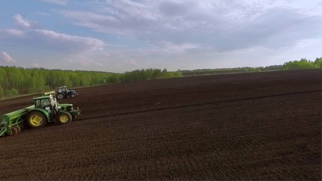 Сев c Amazone D9