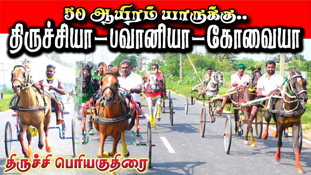 கும்பக்குடி பெரியகுதிரை 04/01/2026 Periyakuthirai #trichy_hors_race  Ksk rekla race #krish_studio_ka