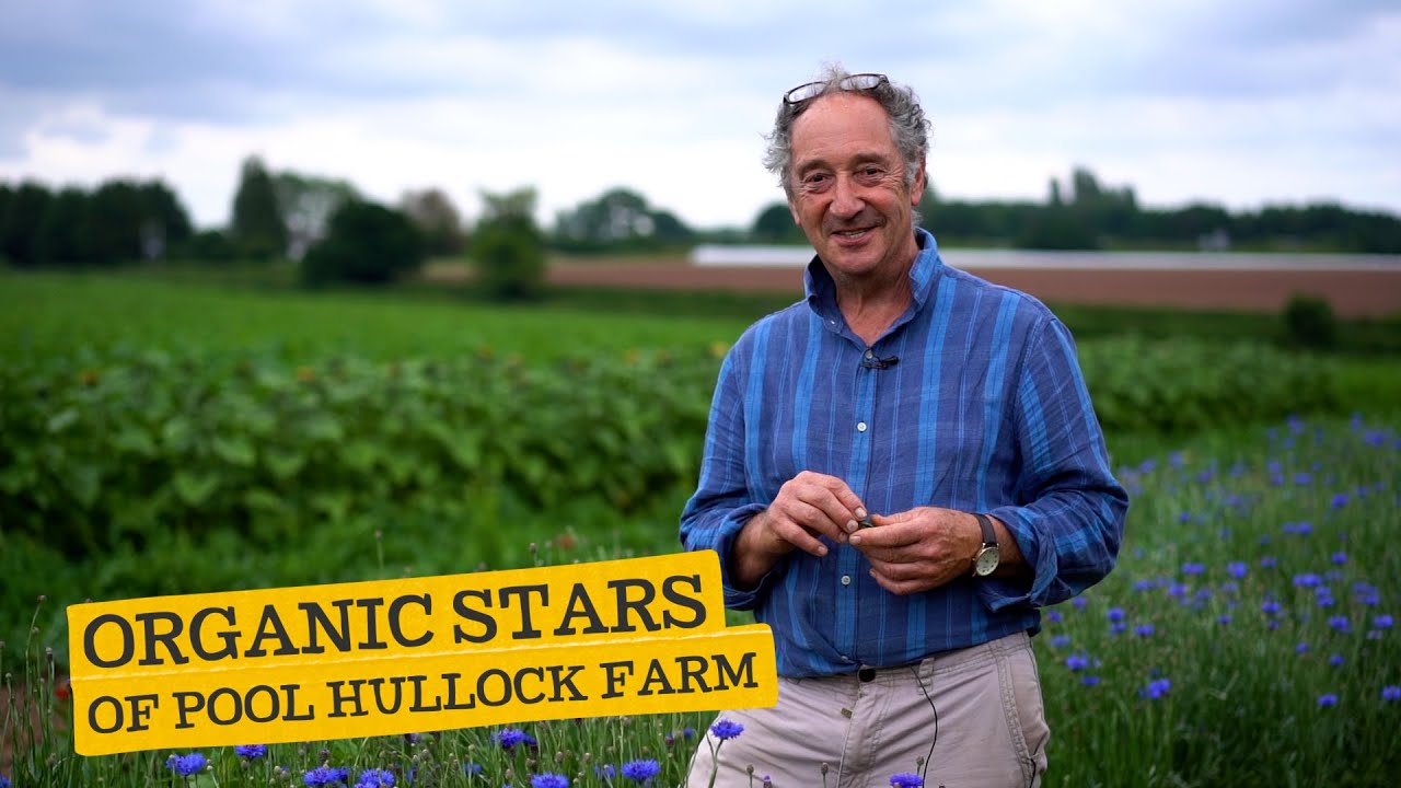 Organic Stars of Pool Hullock Farm