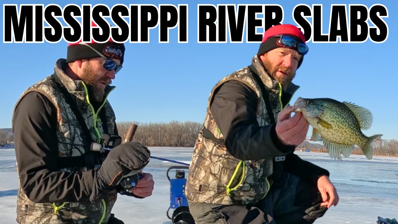 Ловля окуня на реке Миссисипи | Где и почему скапливается рыба