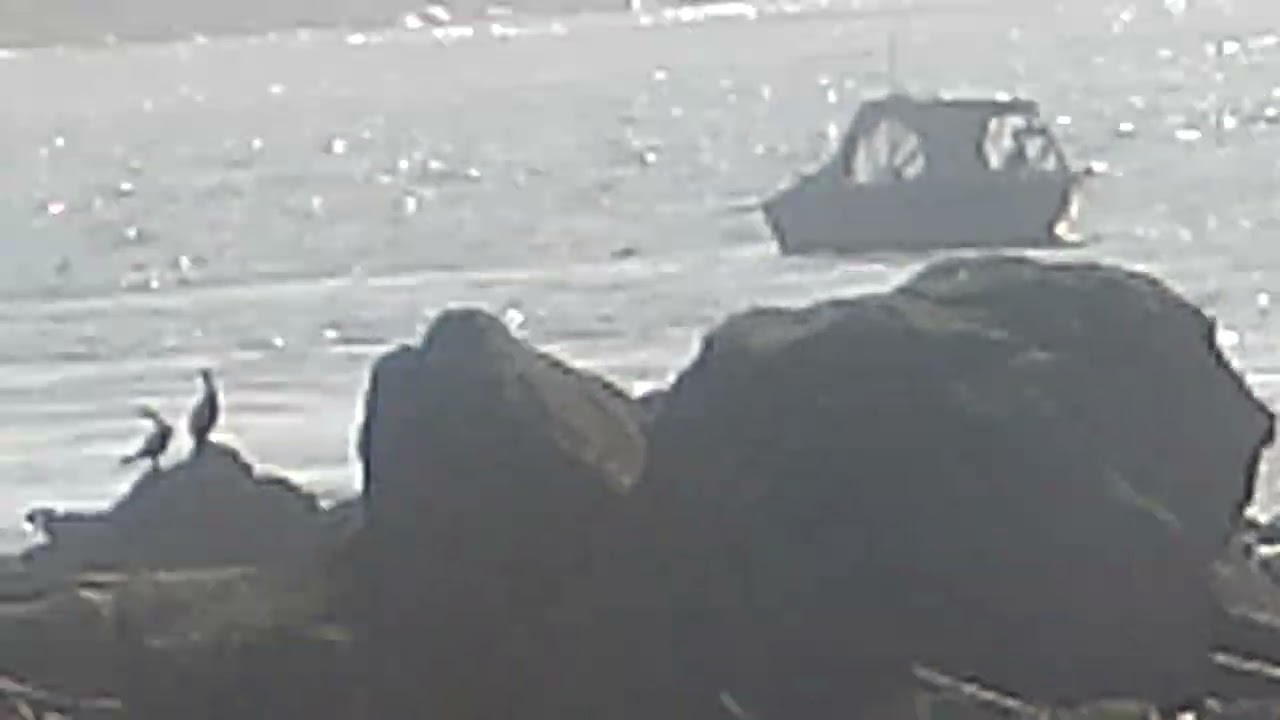 jonah films the river, siuslaw north jetty, 2/7