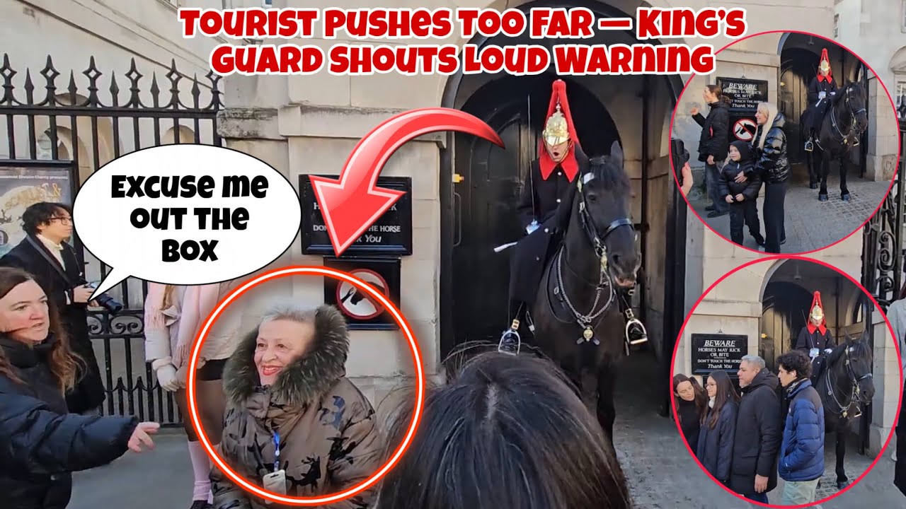 King’s Guard Loses Patience With Tourist and Shouts “Get Out of the Box. Royal Guard.