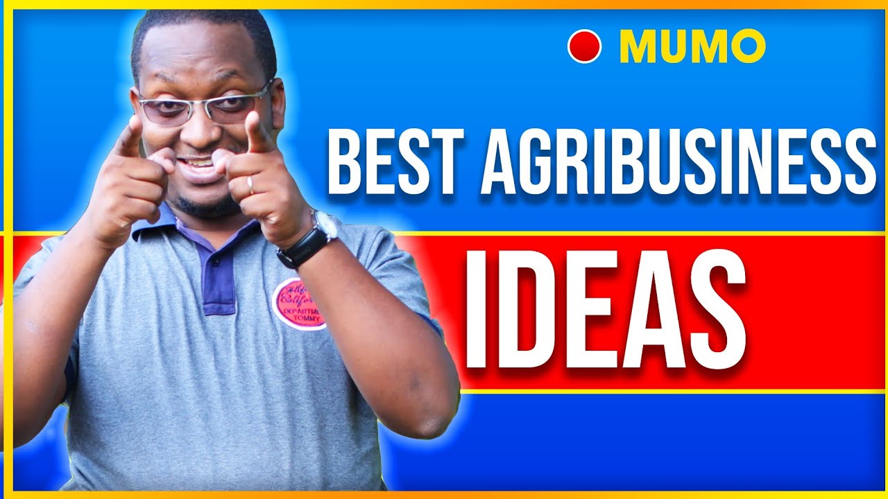 Top Ten Agribusiness Ideas in Kenya