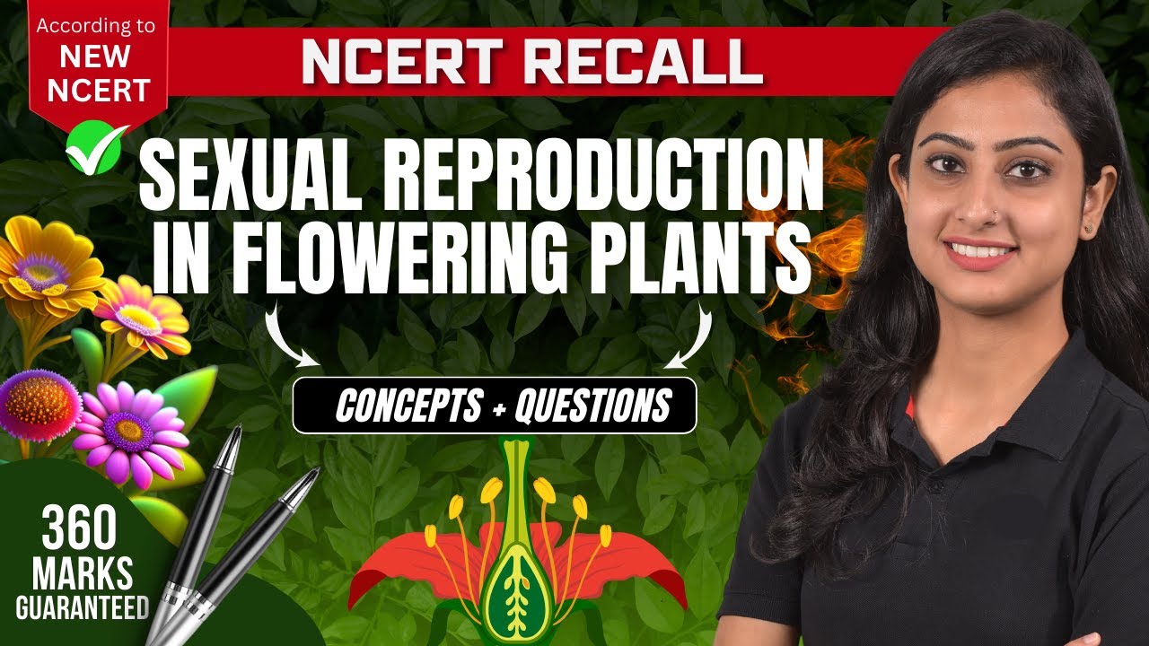 Sexual Reproduction in Flowering Plants  | NEET BIOLOGY | NCERT RECALL | NEET 2024